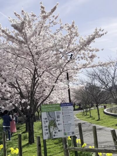 Mill River Park - Stamford, CT