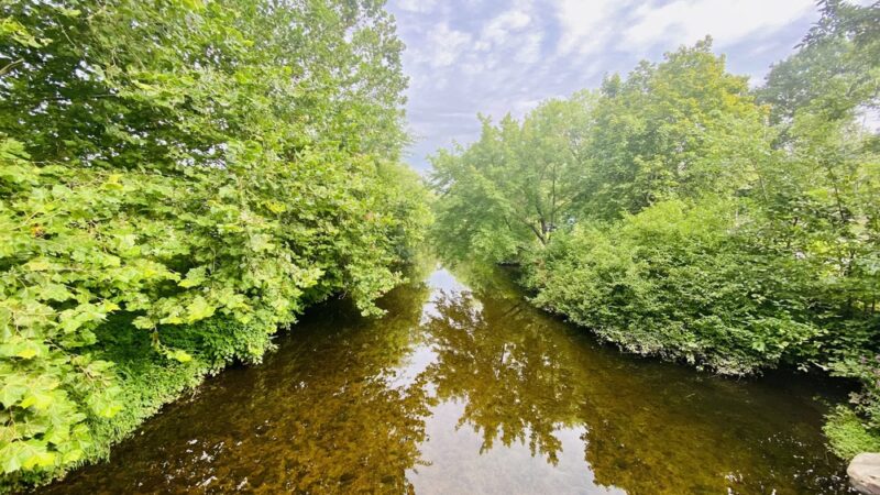Scalzi Park - Stamford, CT