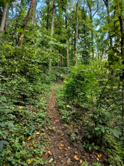Entry Run Trail Parking - Stanardsville, VA