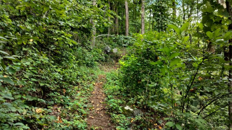 Entry Run Trail Parking - Stanardsville, VA