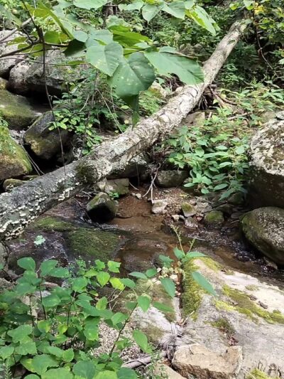Entry Run Trail Parking - Stanardsville, VA