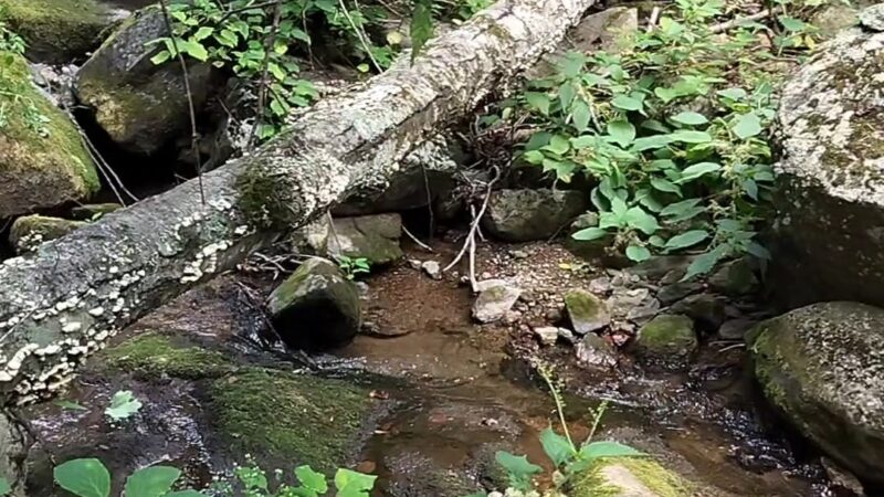 Entry Run Trail Parking - Stanardsville, VA