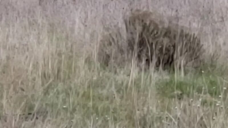 Cold Springs National Wildlife Refuge - Stanfield, OR