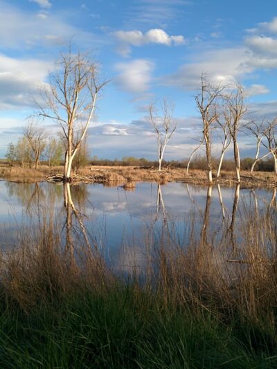 Cold Springs National Wildlife Refuge - Stanfield, OR