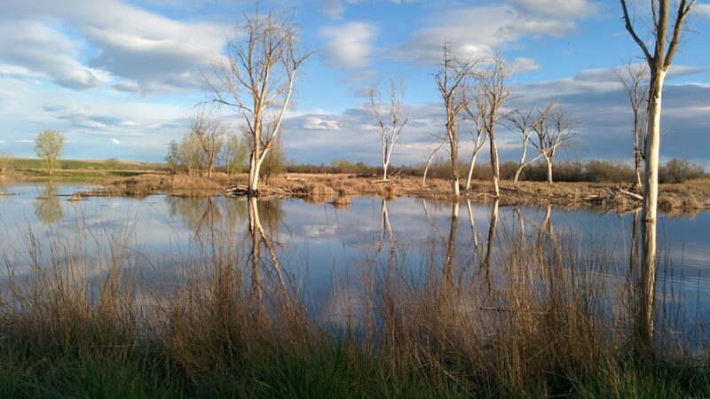 Cold Springs National Wildlife Refuge - Stanfield, OR