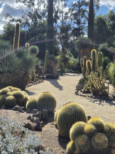 Arizona Garden - Stanford, CA