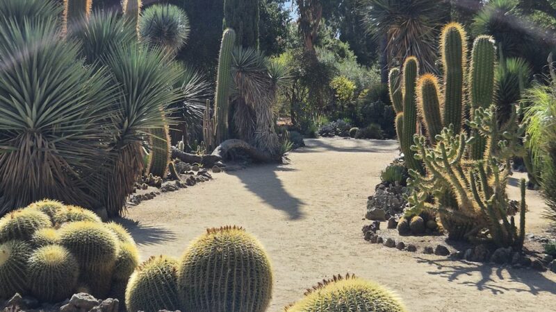 Arizona Garden - Stanford, CA