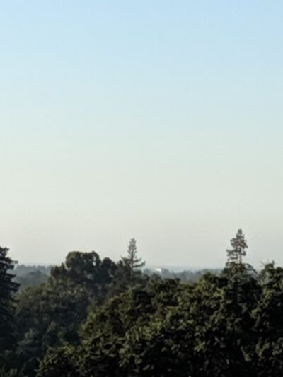 Frenchman's Gate - Stanford, CA