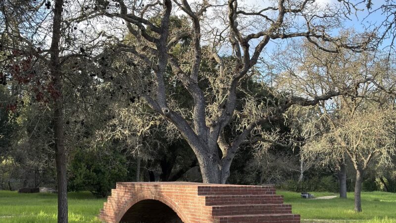 Frenchman's Park - Stanford, CA