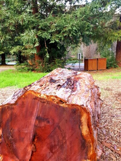 Frenchman's Park - Stanford, CA