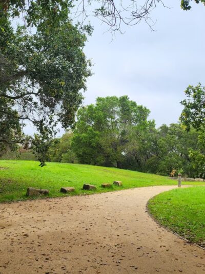 Lathrop Park - Stanford, CA