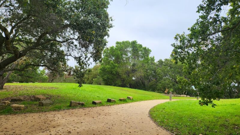 Lathrop Park - Stanford, CA