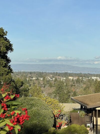 Lathrop Park - Stanford, CA