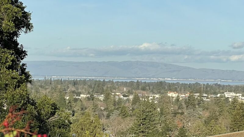 Lathrop Park - Stanford, CA