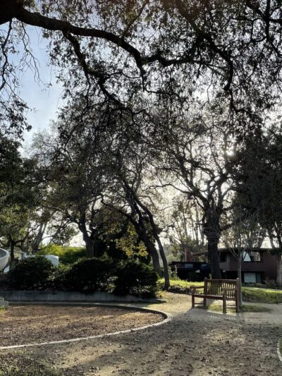 Lathrop Park - Stanford, CA