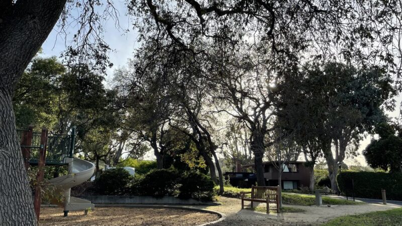 Lathrop Park - Stanford, CA