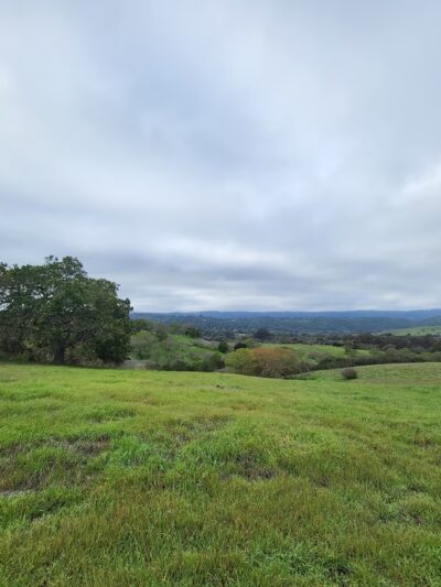 Lathrop Park - Stanford, CA