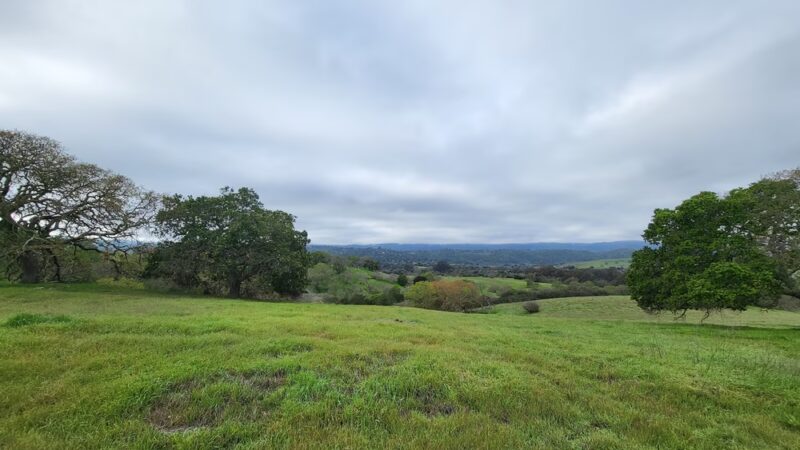Lathrop Park - Stanford, CA