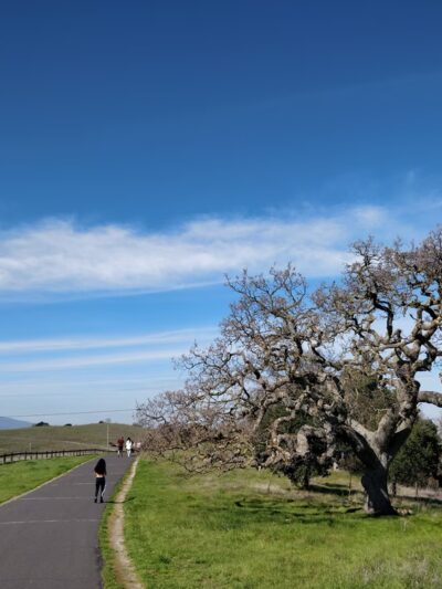 Stanford Dish Parking - Stanford, CA