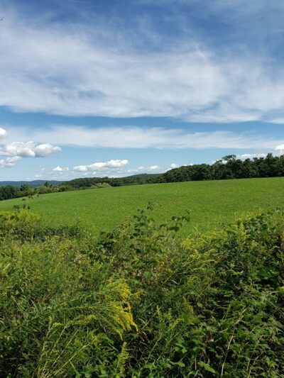Buttercup Farm Audubon Sanctuary - Stanfordville, NY