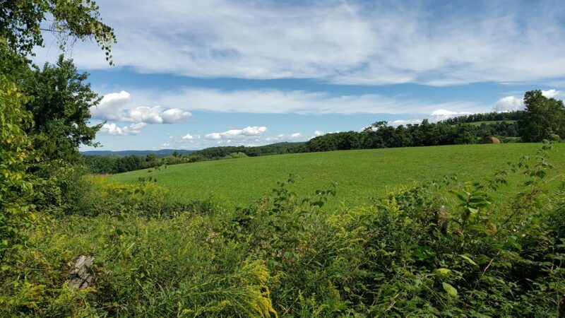 Buttercup Farm Audubon Sanctuary - Stanfordville, NY