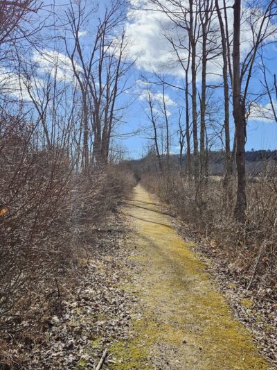 Buttercup Farm Audubon Sanctuary - Stanfordville, NY