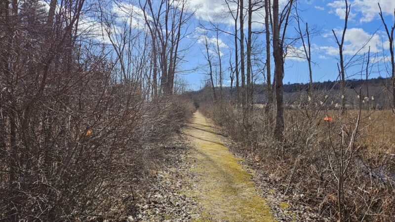 Buttercup Farm Audubon Sanctuary - Stanfordville, NY