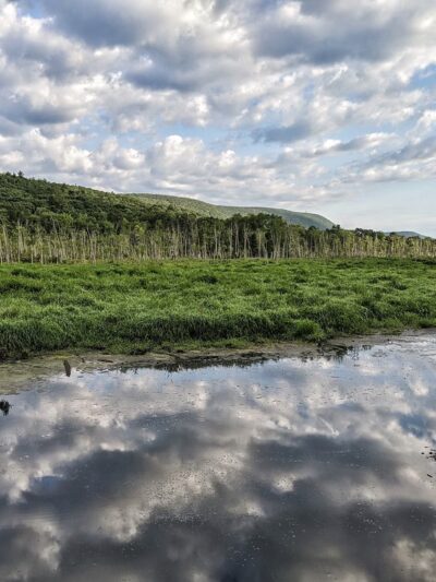 Buttercup Farm Audubon Sanctuary - Stanfordville, NY