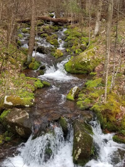 Musser Gap Trail Parking Area - State College, PA