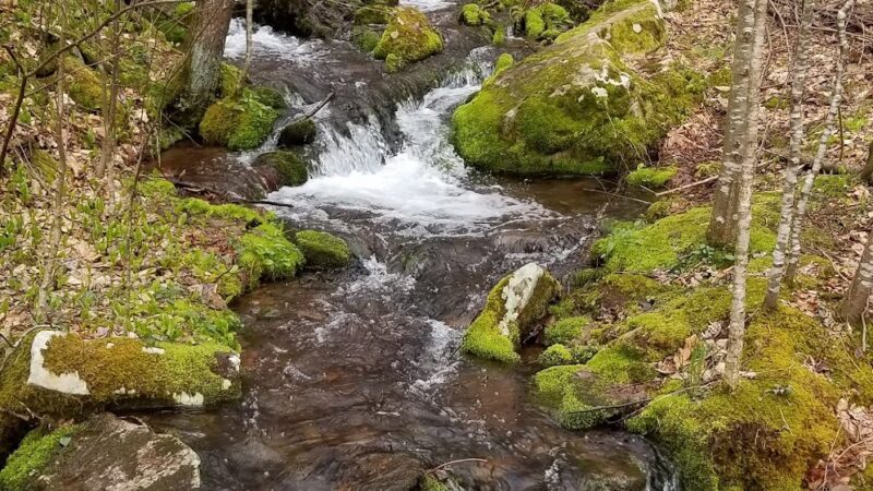 Musser Gap Trail Parking Area - State College, PA