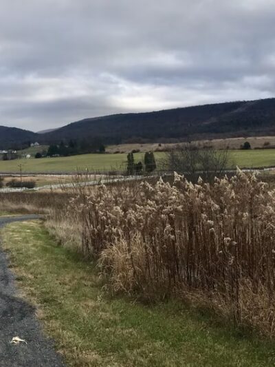 Musser Gap Trail Parking Area - State College, PA