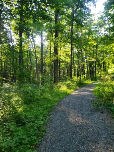 Musser Gap Trail Parking Area - State College, PA