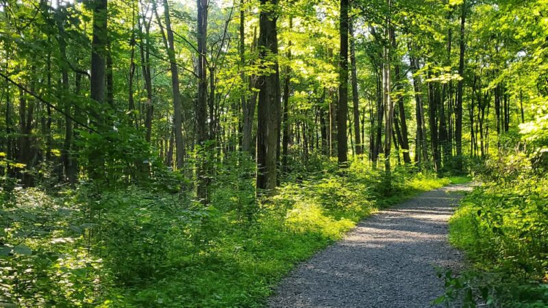 Musser Gap Trail Parking Area - State College, PA