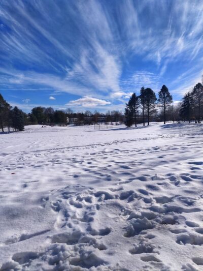 Orchard Park - State College, PA