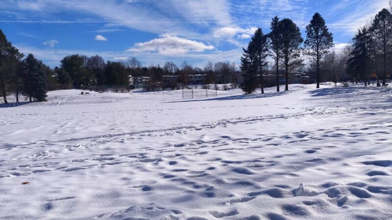 Orchard Park - State College, PA