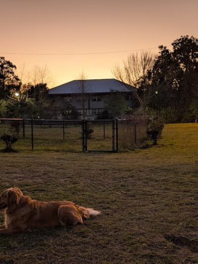 Statesboro City Dog Park - Statesboro, GA