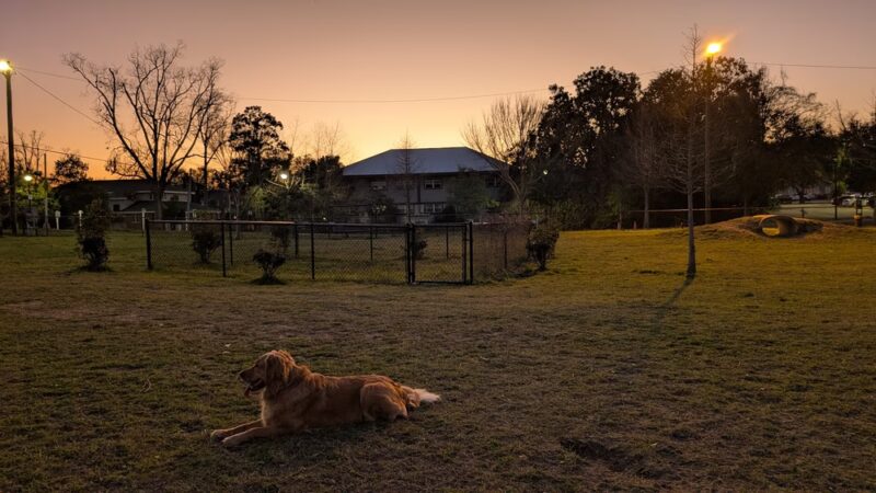 Statesboro City Dog Park - Statesboro, GA