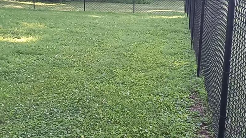 Public Dog Park - Ste. Genevieve, MO