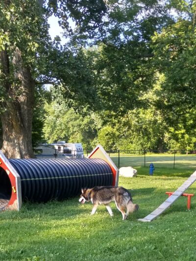 Public Dog Park - Ste. Genevieve, MO