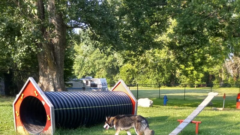 Public Dog Park - Ste. Genevieve, MO