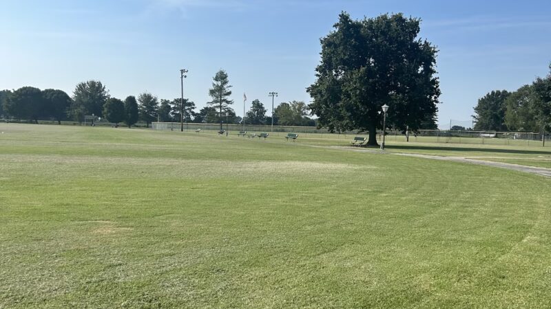 Steele Park - Steele, MO