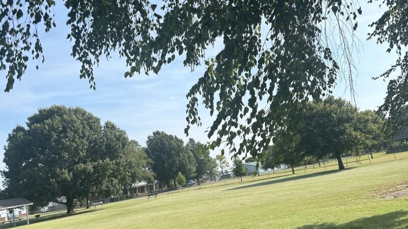 Steele Park - Steele, MO