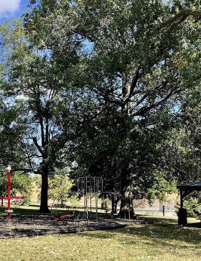 Stella City Park - Stella, NE