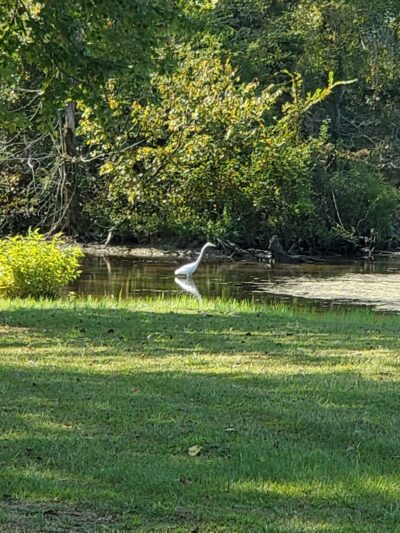 Stevenson City Park - Stevenson, AL