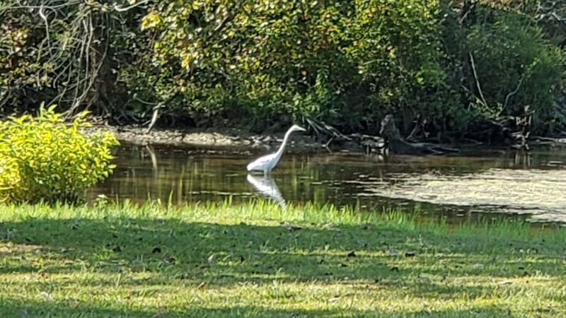 Stevenson City Park - Stevenson, AL