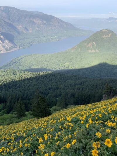 Dog Mountain Lookout - Stevenson, WA