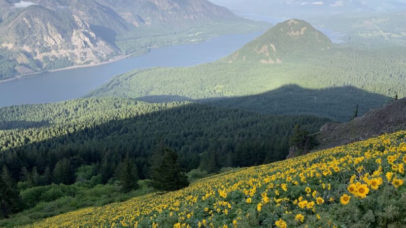 Dog Mountain Lookout - Stevenson, WA