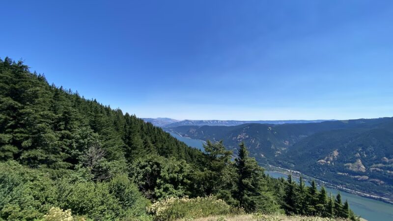 Dog Mountain Lookout - Stevenson, WA