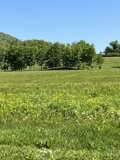 Gould Meadows - Stockbridge, MA