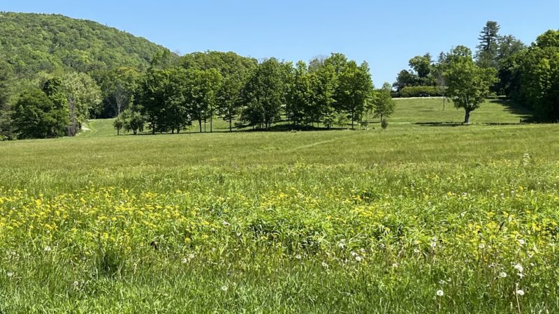 Gould Meadows - Stockbridge, MA